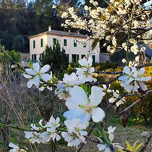 agroturisme-finca-sa-maniga.allmallorcahotels.com/